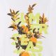 5. Damen-T-Shirt 4F F2721 weiß 4FWSS26TTSHF2721 10S