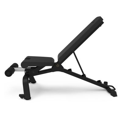 14. Bowflex 3.1S 100917 Trainingsbank