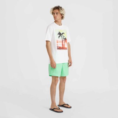 8. O'Neill Jack Neon T-Shirt M 92800613598