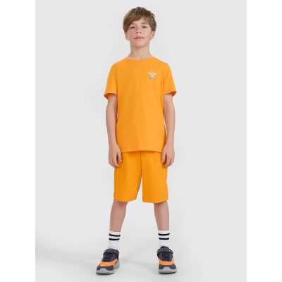 2. Jungen-T-Shirt mit normalem Aufdruck 4F 4FJRSS25TTSHM2642-70S