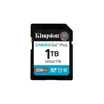 7. Kingston Canvas Go Plus SDG4/1TB Speicherkarte (1 TB; Klasse U3, V30; Speicherkarte)