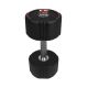 37. Body Sculpture TPU Hantel BW 133 14 KG