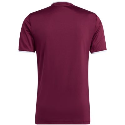 3. Herren-T-Shirt adidas Entrada 26 Jersey bordeaux JZ2507