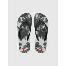 Herren-Flip-Flops 4F 4FRSS26FFLIM246-21A