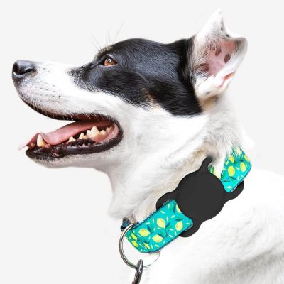 2. Wozinsky WEA-01 Apple AirTag Silikonhülle für Hunde- oder Katzenhalsbänder – Schwarz