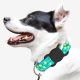 2. Wozinsky WEA-01 Apple AirTag Silikonhülle für Hunde- oder Katzenhalsbänder – Schwarz