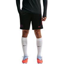 Nike Dri-FIT PSG Herrenshorts Schwarz II2611 010