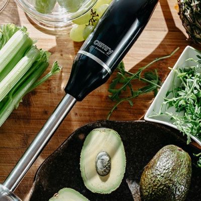 10. CAMRY CR 4630 Stabmixer