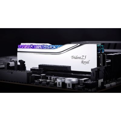 5. G.SKILL TRIDENT Z5 ROYAL RGB DDR5 2x16GB 6000MHz CL28 SILBER F5-6000J2836G16GX2-TR5S