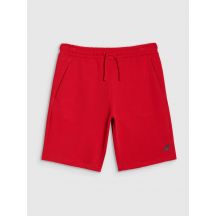 Shorts 4F M 4FWMM00TSHOM543-62S