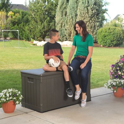 18. Gartenlagerbox 439 L 60089