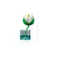 18. LEGO Botanische Kollektion 11511 - Seerosen