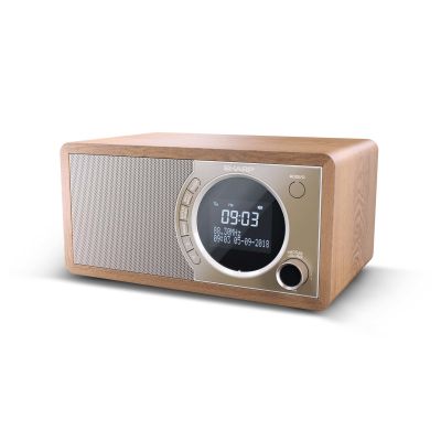 3. Sharp DR-450(BR) Digitalradio mit Bluetooth-Technologie