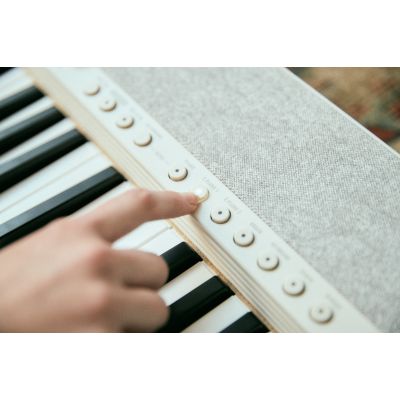 12. CASIO CT-S1 WE – Keyboard