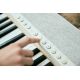 12. CASIO CT-S1 WE – Keyboard