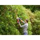 4. Elektrische Gartenschere 55 cm BEHTS401 BLACK+DECKER