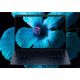 51. HP EliteBook X G1i 14-Zoll-Notebook, KI-PC der nächsten Generation, Copilot+ PC, Intel Core Ultra 7 258V, 35,6 cm (14 Zoll), 2K-Grafikkarte, 32 GB LPDDR5x-SDRAM, 1 TB SSD, Wi-Fi 7 (802.11be), Windows 11 Pro, Blau