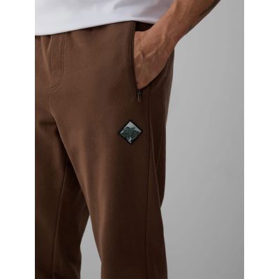 3. Herren-Jogginghose 4F 4FRAW26TTROM2092-81S