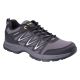 4. Herren-Trekkingschuhe DARIDA LOW