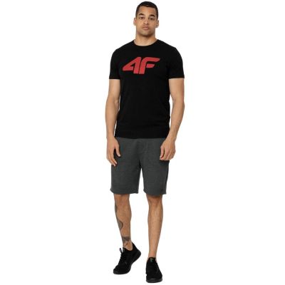 8. T-Shirt 4F M H4Z22 TSM353 21S