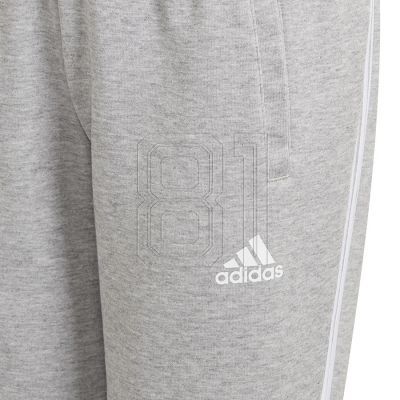 9. Adidas 3-Stripes Tapered Jr GT6888 pants