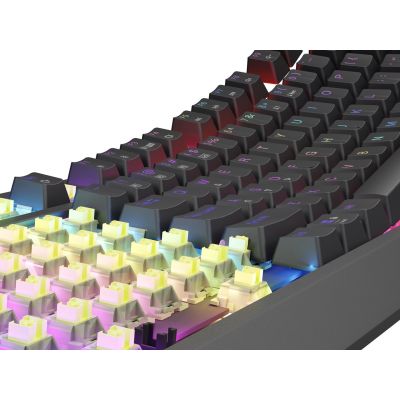13. GENESIS Thor 230 TKL Gaming-Tastatur USB + RF Wireless + Bluetooth QWERTY US English Schwarz