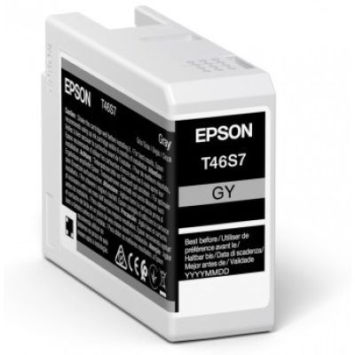 2. Epson Tinte Grau (C13T46S700)