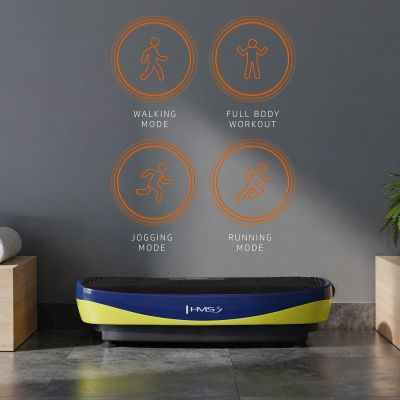 5. SVP11 Vibrationsplattform mit 3D-Overlay und 2 HMS-Motoren