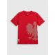 7. Herren-Baumwoll-Fächer-T-Shirt 4F 4FRSS26TTSHM4200-62S