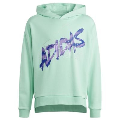 Adidas D Hoody Jr HR5825 Sweatshirt