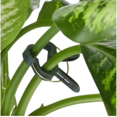 7. KINZO Pflanzenclips, 20 Stück