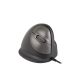 31. Ergonomische Maus für Rechtshänder R-Go Pele HE USB groß schwarz/silber (Einzelhandel)