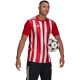 24. adidas Striped 21 Jersey M GN7624