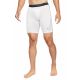 Nike Pro M Thermoshorts DD1911-100