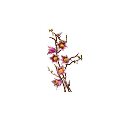 8. LEGO Botanicals 11510 - Magnolienzweige