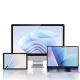 8. Ugreen DisplayPort/USB-C zu USB-C Switch – Grau