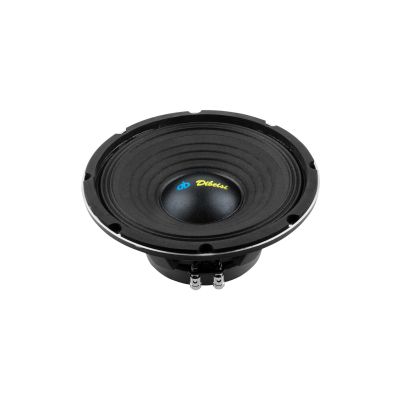 Dibeisi 10-Zoll-Lautsprecher Modell DBS-PS1005-8