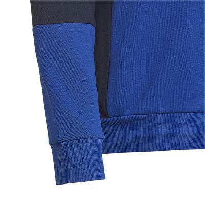 8. Adidas Colourblock Hoodie Jr HG6826 Sweatshirt