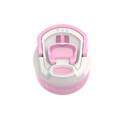 8. Kambukka Elton Isolierte 1000ml Thermosflasche, Pink Ambition