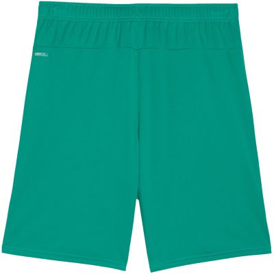 4. Puma Team Goal Herrenshorts grün 705752 05