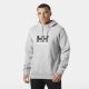 Helly Hansen Herren HH LOGO HOODIE 54582 949