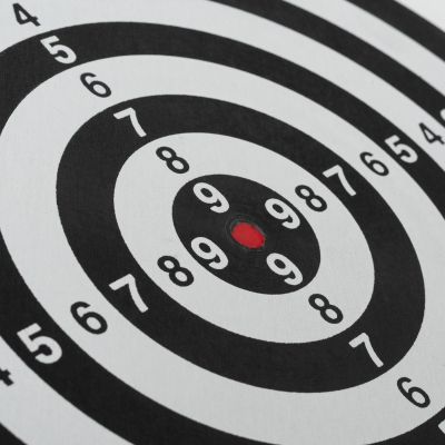 5. DARTQUEST Dartscheibe