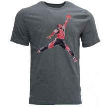 Air Jordan Brand Grafik-T-Shirt Herren Grau - FN5980-091