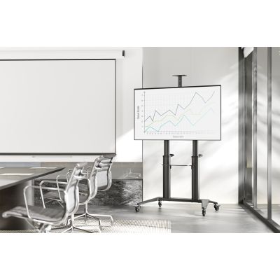 11. Einzelnes mobiles Stativ mit Ablage und Kamerahalterung, 1xLCD, max. 120 Zoll, max. 140 kg