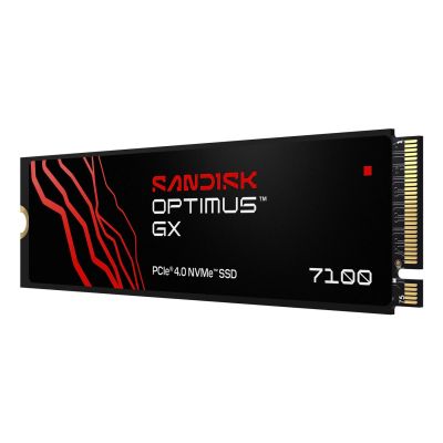 6. SSD Sandisk Optimus GX 7100 1TB SDSP71100TAN