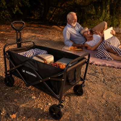 16. Wozinsky WZP-80 Strand-, Touristen- und Gartenwagen, robust, breite Räder, bis 80 kg - schwarz
