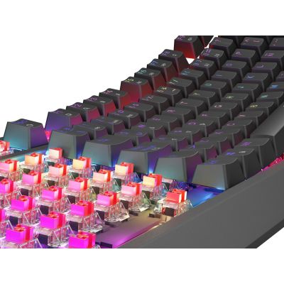 7. GENESIS Thor 230 TKL Gaming-Tastatur USB QWERTY Spanisch Schwarz