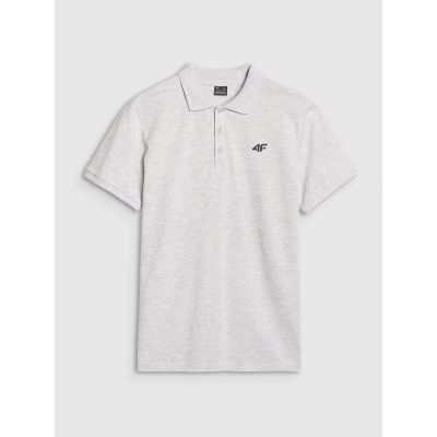 6. Herren-Poloshirt Regular 4F 4FWMM00TPTSM366-27M