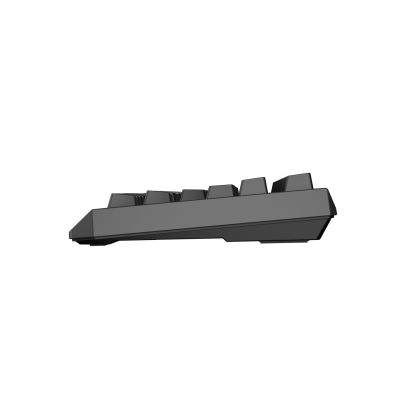 30. GENESIS Thor 230 TKL Gaming-Tastatur USB + RF Wireless + Bluetooth QWERTY US English Schwarz