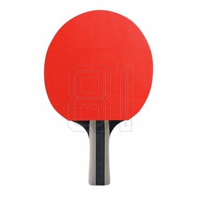 14. Cornilleau Sport Duo Tischtennis-Set